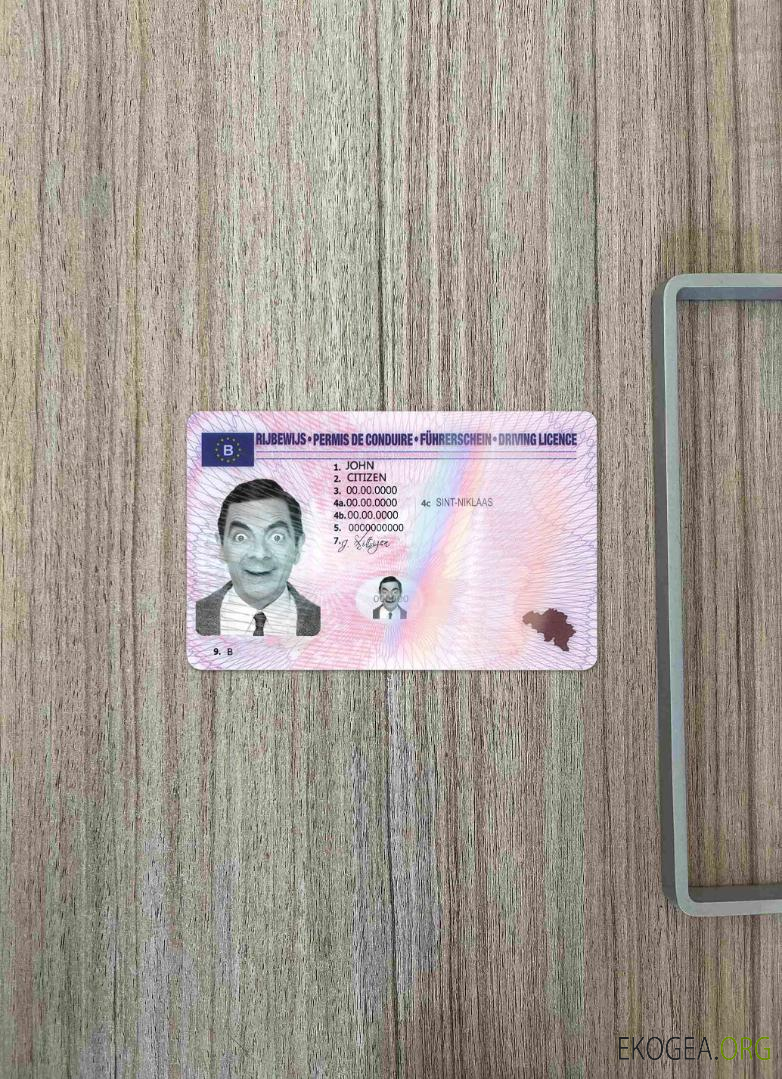 Belgique DL photolook DEVANT